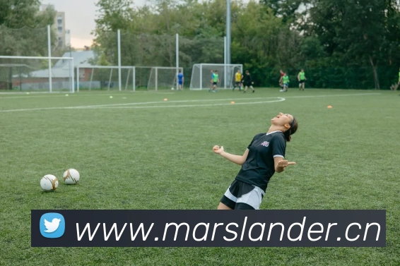 来球网免费直播nba平台生态图